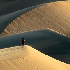 Alaa Wardi - Fi Hagat