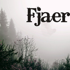 Fjaer - The Stone