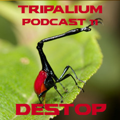Tripalium Podcast 11 - Destop