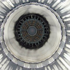 Volunteers Lab Animals