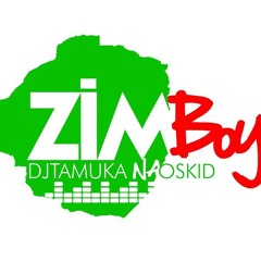 DeeEm ft. DJ Tamuka - Tisu Tinaro (Zimswagg Anthem)