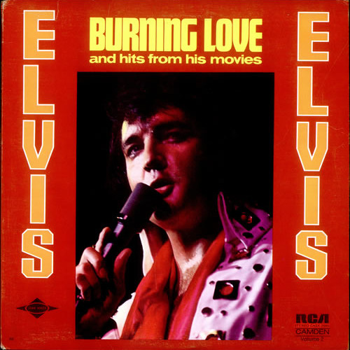 Elvis Presley - Burning Love - Cover