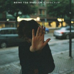 Being Too Shallow // SDDx Flip