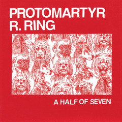 Protomartyr - "Blues Festival"