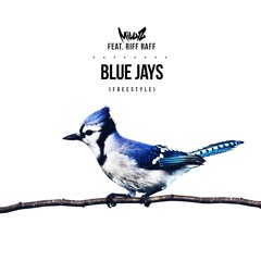 Bluejays Freestyle