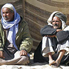 Shady - Egyptian Swagger