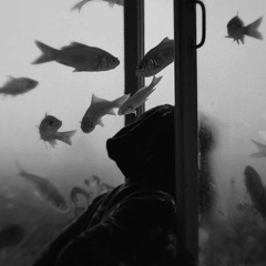 Anthropology of Loneliness