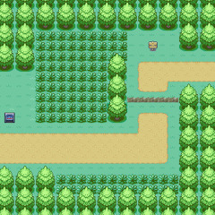 Pokéslam Generation IV - Route 201 Jam