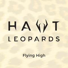 Flying High (Radio Edit) (OUT NOW)