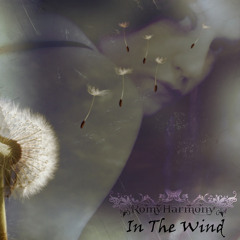 In The Wind