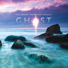 DEVIN TOWNSEND PROJECT - Fly
