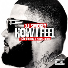 How I Feel Ft. Zoey Dollaz & Young Breed (Clean)
