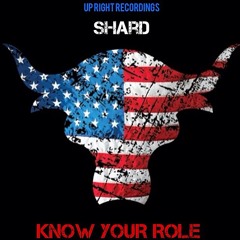 SHARD - KNOW YOUR ROLE