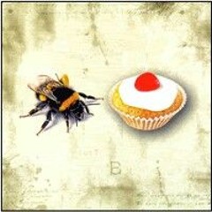 Rip It Up - Beecake (Billy Boyd's band)