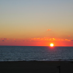 First Meal (Functional)