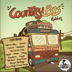 Country Bus Riddim Mix - DJ Dutty Ragz 2015 Reggae