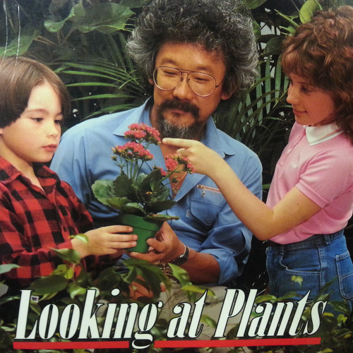 looking at plants