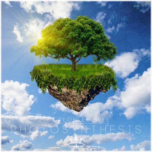 Photosynthesis (Produced by Appetite)
