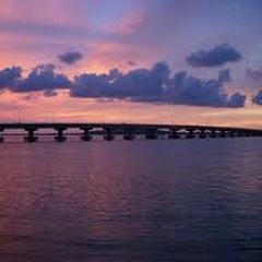 សម្រស់បុផ្ផាកោះកុង
