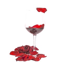 Wine &  Roses