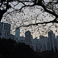 Fragments (collected Sounds From Deserted Places) - Silvaplana
