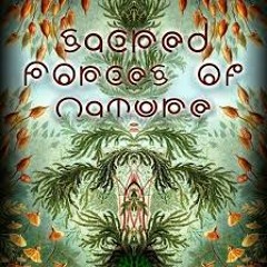 Kacid & Third Eye of Monkey - Hashooom ::OUT NOW on Biijah Recs.::