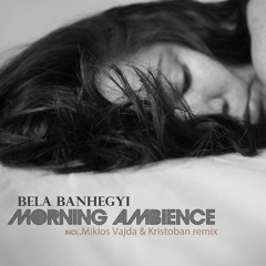 Bela Banhegyi - Morning Ambience (Miklos Vajda Remix) preview Out Now!