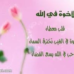 "انشودة لا متقولوش "الحب والأخوة في الله