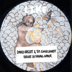 David Hasert & Tim Engelhardt - Knight In Shining Armor feat. Rosapaulina