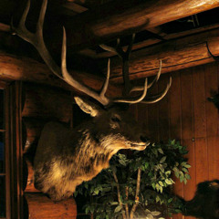 deer at log cabin