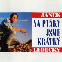 Na ptáky jsme krátký - Janek Ledecký (STEREO cover)