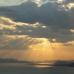 THE SON OF SUN IS COMING