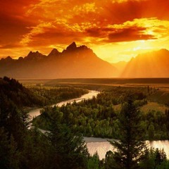 Rise And Fall