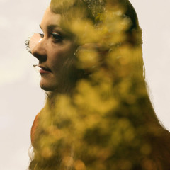 Heidi Harris - Maple Rework