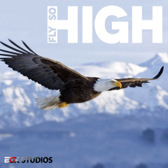 Fly So High