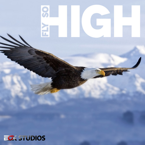 Fly So High