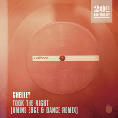 Chelley - Took The Night (Amine Edge & DANCE Remix)