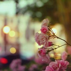 ♡صورتك علقتها بين روح وروح♡