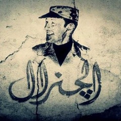 سعدالدين الشاذلي