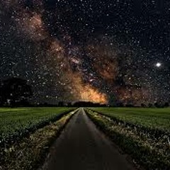 We are the stars