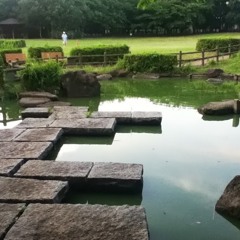 手にとるように