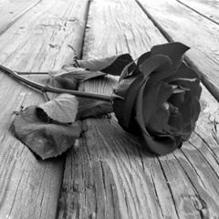 MLTR - That's way you go