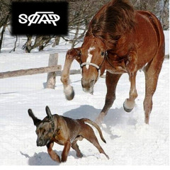 Stomping Horses (Psytrance Mix 2015)