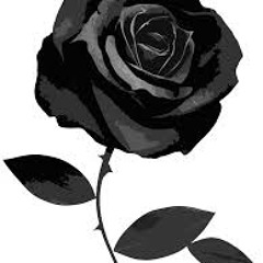 Black Rose