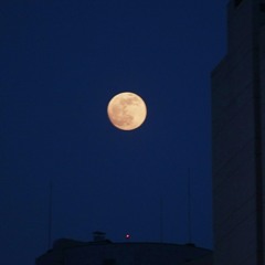 Moon Of Seoul(서울의 달)
