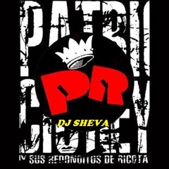 ENGANCHADOS DE PATRICIO REY Y SUS REDONDITOS DE RICOTA - DJ SHEVA 2015