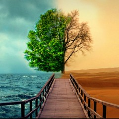 Whats It Gonna Be at Davis, CA