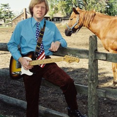 Metaphysical Cowboy