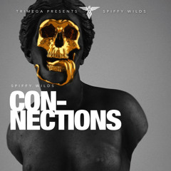Connections
