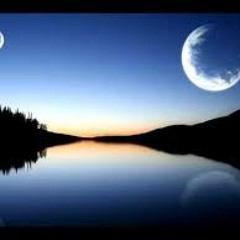 Mikalogic - Wonder Lamb (Original Mix) [Muzik X Press]